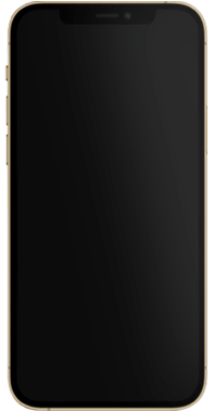 iPhone 12 Pro 128GB Grafit (Bra skick)